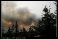 走到哪儿是哪儿（漠河北极村）