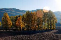 “十一”稻城亚丁游客须知