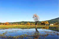 暑假丽江之自助攻略