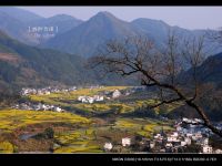 资讯篇: 婺源东北线