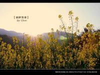 婺源自助5日功略--经典！！