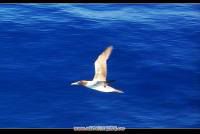 上海－温州－南麂列岛 国庆四日游全攻略