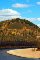 小兴安岭森林游