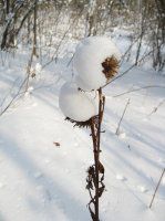 黑龙江雪乡双峰相关资料