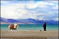 雨季徒步墨脱全攻略