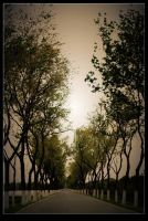 崇明自助游(最新版)