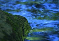 上海-香港四条最省钱路线