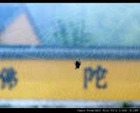 浙东大峡谷、宁海温泉、宁波三日游（含费用明细）