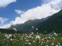 洛阳驴子兜兜熊五.一四姑娘山-海子沟环线穿越计划（八天）