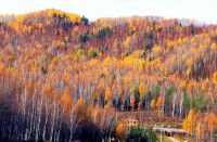 07春节～一路向北～[东北山东11日]