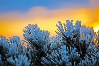 大徽州自助游攻略