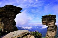 让巴以人民过上和平的日子