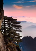 山盟海誓蜜月之行——黄山、厦门八日行程