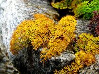 陕西省千年古县一凤县