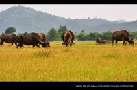 庐山超级劳累行