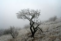 西安-天水-兰州-夏河-银川-额济纳-丹巴-稻城-丽江攻略一（陕西篇）