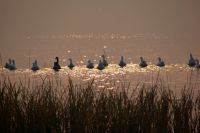 苏州（快乐二日游）