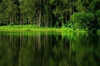 发现香港的完美之旅