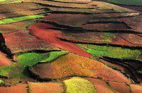 母女二人06年春节云南西北线14日行程全纪录