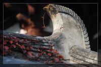 5.2五泄绍兴三日游