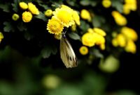 长假游杭州完全推荐及指南——休闲游篇