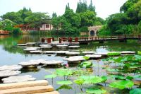 三醉江南牡丹花城 常熟自驾游攻略