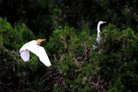 宿迁 乾隆行宫游记