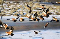 抚顺市内自助游(辽宁抚顺1日)