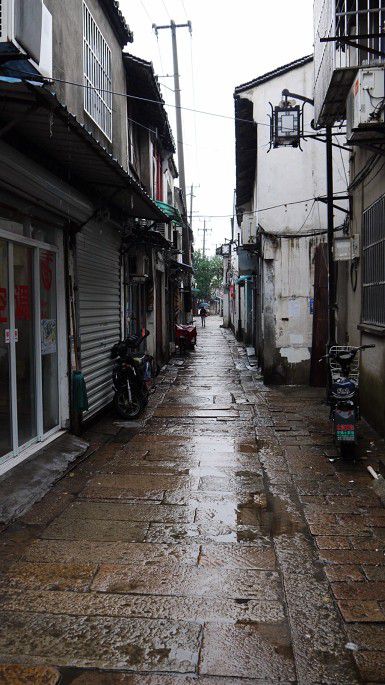 雨巷.JPG