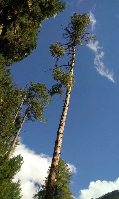 0218_2 (2)_副本.jpg