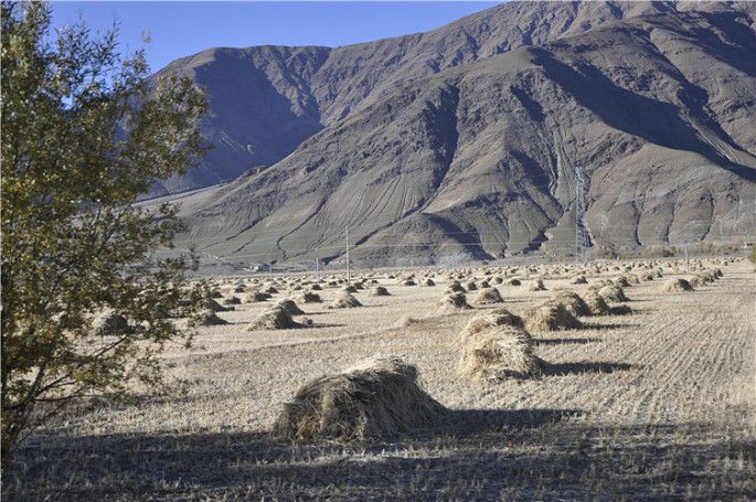 西藏行（2） (172).jpg