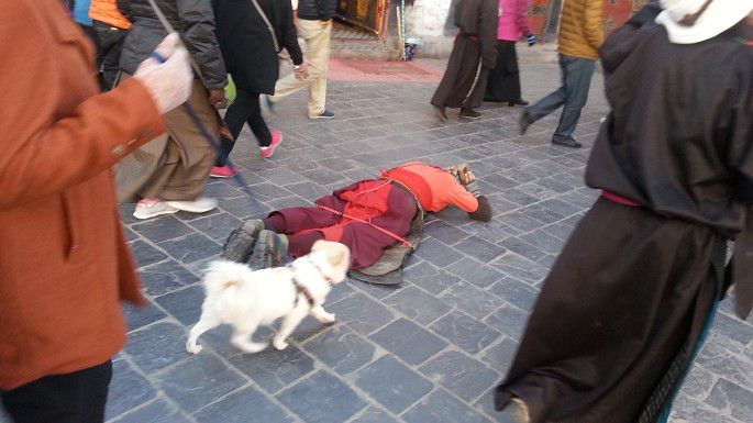 手机20141007_080034 (270).jpg