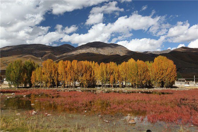 陈生IMG_0989 (22).jpg