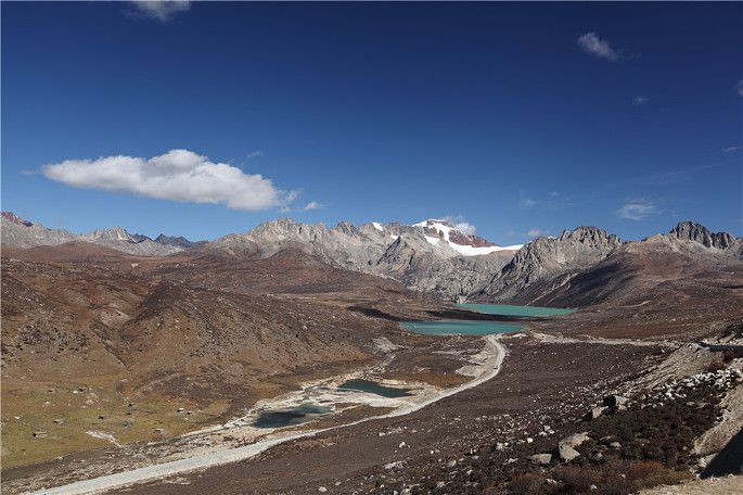 陈生IMG_0989 (29).jpg