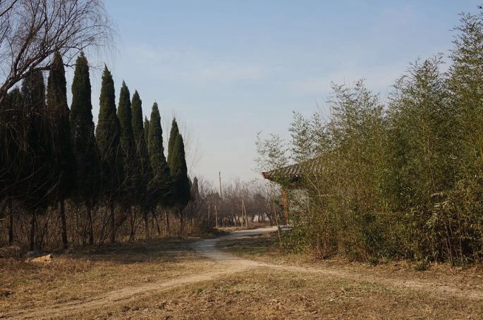 i11.jpg