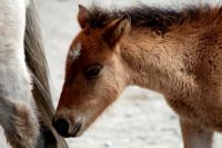 西藏    触手可及的梦 （川藏线自驾游）