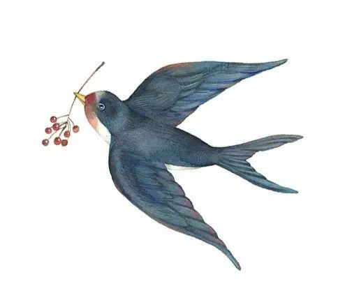 image007.jpg