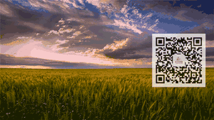 image025.gif