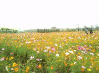 2017中秋游正定古城