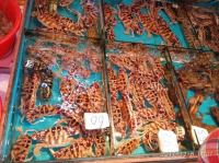 冬日暖阳飞鹭岛  置身海峡听鼓浪——厦门游记