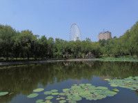 【旅行日记——长春】第四天（上）