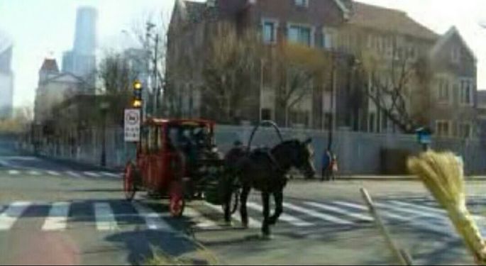 图08-天津五大道上跑着观光马车_副本.jpg
