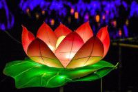 河南一座小城，春节期间非常热闹，节日气氛从汉朝传承，堪称一绝