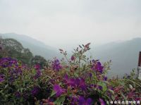 发现台湾之美（六）： 高山上的清风明月聚会