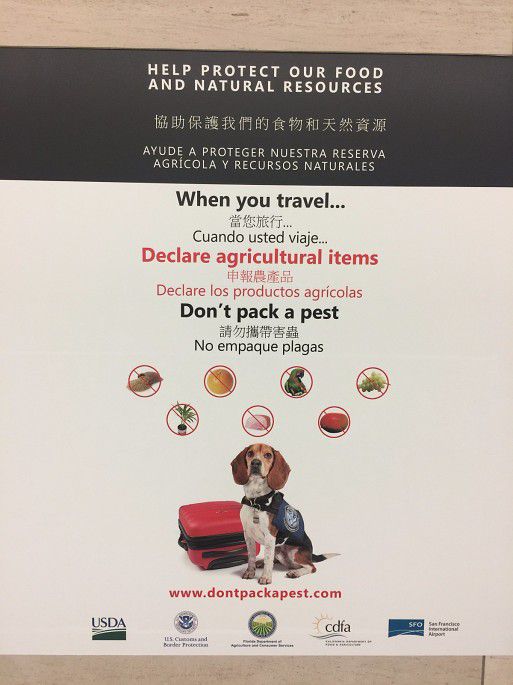 手机图片 032.JPG