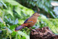 云南之旅D3【原创-摄影】