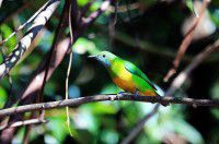 云南之旅D7【原创-摄影】