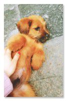 “临河木窗清风源，雕花床上拢碧纱。”这是别人对西塘的描绘。