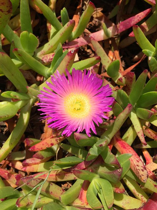 手机图片 569.JPG