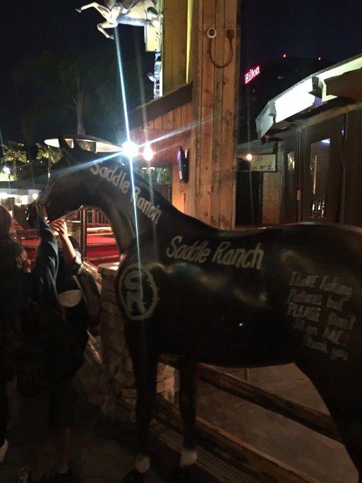 手机图片 1091.JPG